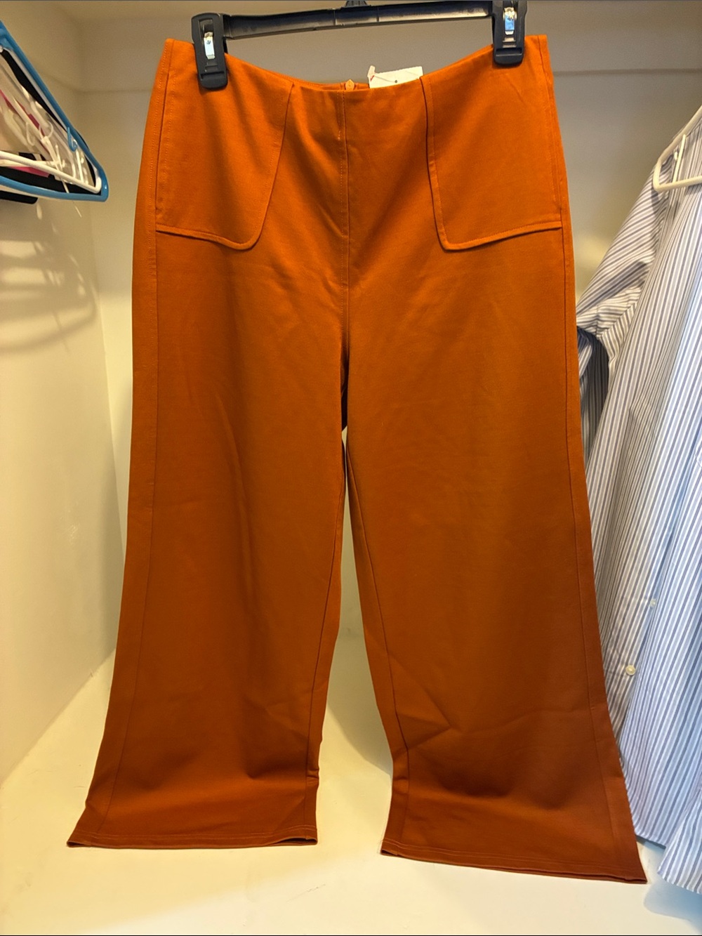 Frnch Paris High-Waist Wide Leg Pants in Burnt Orange NWT